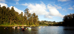 Coorg - Mysore - Ooty - Kodaikanal Tour Package from Mangalore