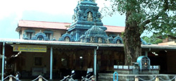 Udupi - Kundapur Tour Package from Mangalore