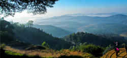 Coorg - Wayanad Hills - Bekal Beach Tour Package from Mangalore