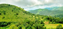 Mangalore - Jogfalls - Chikmagalur - Coorg - Mysore - Ooty Tour Package