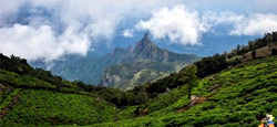 Coorg - Mysore - Ooty - Kodanad Tour Package from Mangalore
