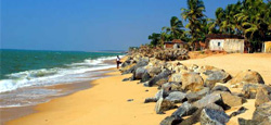 Mangalore - Coorg Hills and Wildlife Tour Package