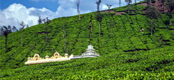 Amazing Mangalore - Sakleshpur - Kalasa Tour Package